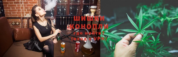 ГАЛЛЮЦИНОГЕННЫЕ ГРИБЫ Белокуриха