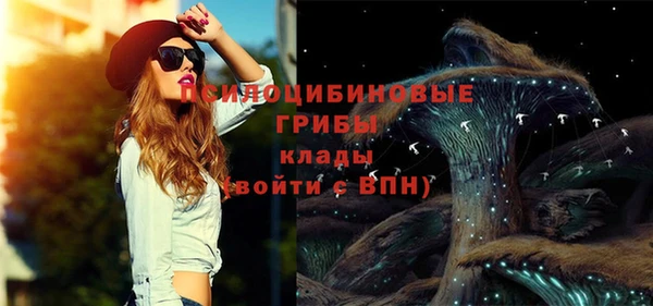 ГАЛЛЮЦИНОГЕННЫЕ ГРИБЫ Белокуриха