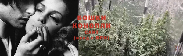 ГАЛЛЮЦИНОГЕННЫЕ ГРИБЫ Белокуриха