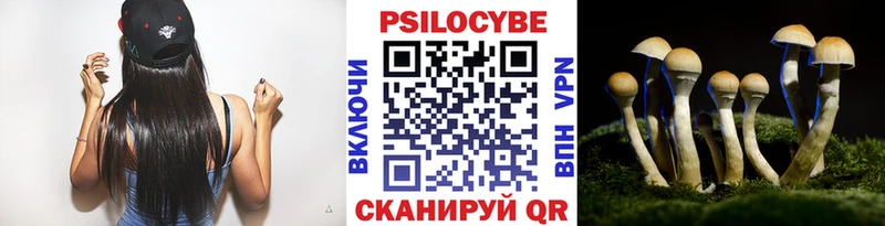 Галлюциногенные грибы Psilocybe магазин продажи Рудня